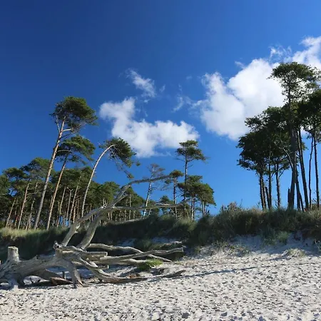 Darsskrabbe Апартаменты