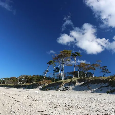 Lägenhet Darsskrabbe