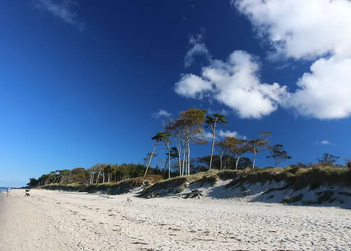 Апартаменты Darsskrabbe