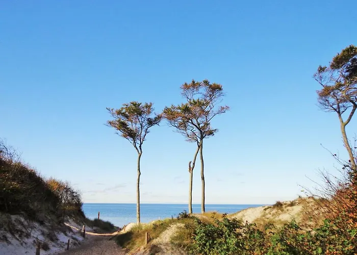 Апартаменты Darsskrabbe